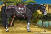 Horse Color:Brown Sabino Rabicano  and Brown Sabino Rabicano 