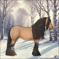 Horse Color:Bay Roan 