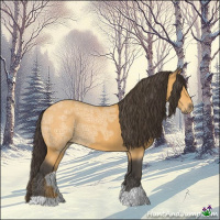 Horse Color:Buckskin Ice 