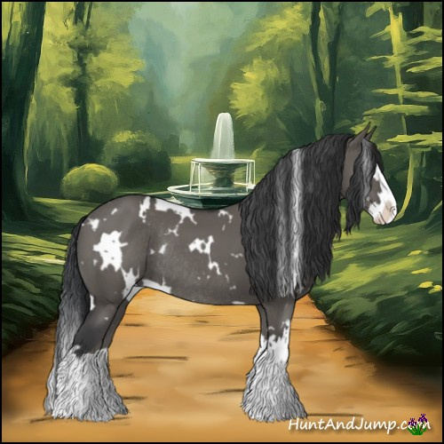 Horse Color:White Spotted Grullo Splash Rabicano