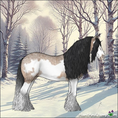 Horse Color:Bay Ice Dun Splash Frame Rabicano 