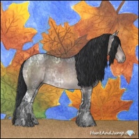 Horse Color:Platinum Brown Ice Roan 
