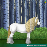 Horse Color:Gray Painted White Spotted Buckskin Dun Splash Appaloosa 