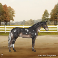 Horse Color:White Spotted Liver Chestnut Mushroom Rabicano 