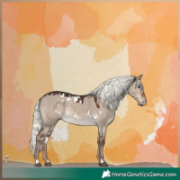 Horse Color:White Spotted Liver Red Dun Mushroom Rabicano 