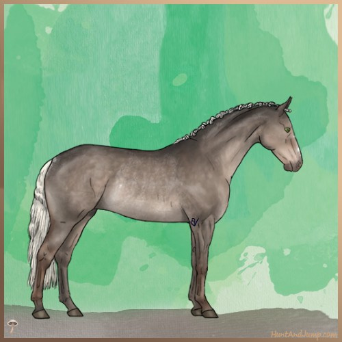 Horse Color:Liver Red Dun Mushroom Rabicano