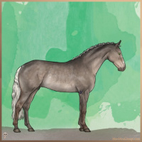 Horse Color:Liver Red Dun Mushroom Rabicano 