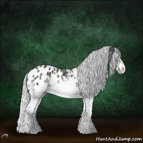 Horse Color:White Spotted Silver Brown Chinchilla Splash Appaloosa 