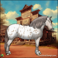Horse Color:Sable Champagne Dun Appaloosa Rabicano 