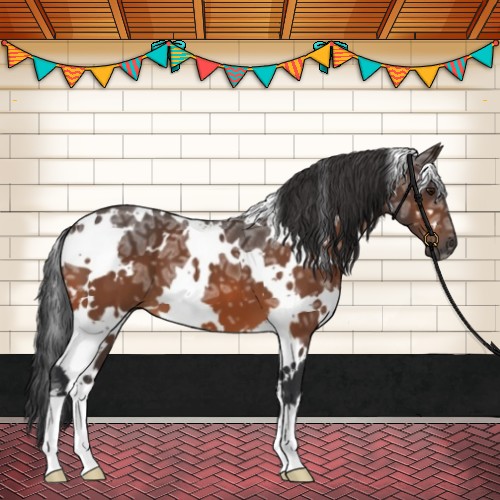 Horse Color:White Spotted Brown Ice 