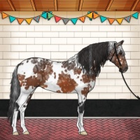 Horse Color:White Spotted Brown Ice 