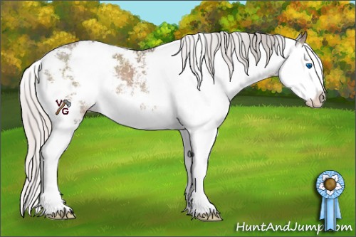 Horse Color:Silver Grullo Sabino Splash Rabicano 