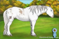 Horse Color:Silver Grullo Sabino Splash Rabicano 