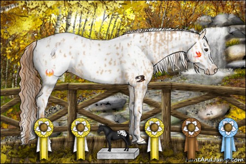 Horse Color:Red Dun Near Leopard  and Red Dun Near Leopard Rabicano 