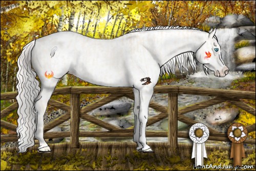 Horse Color:Cremello Dun Appaloosa  and Cremello Dun Appaloosa 