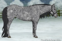 Horse Color:Black Ice 