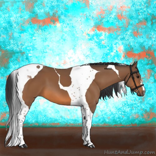 Horse Color:Bay Tobiano 
