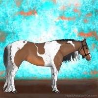 Horse Color:Bay Tobiano 