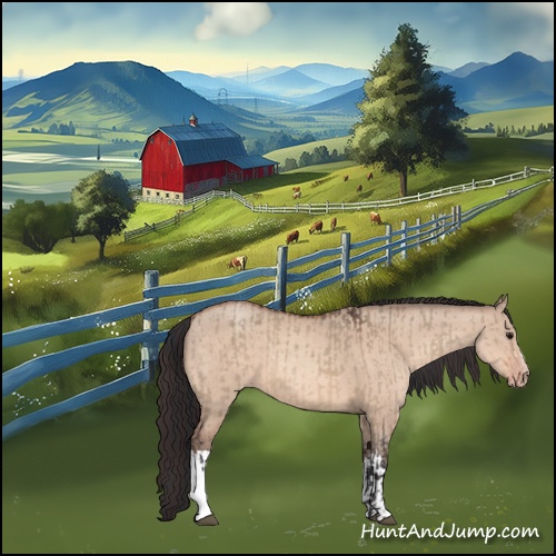 Horse Color:Bay Dun and Amber Champagne Dun