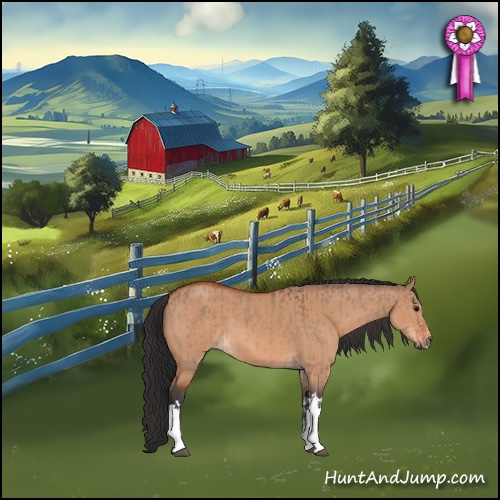 Horse Color:Bay Dun  and Bay Dun 