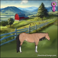 Horse Color:Bay Dun  and Bay Dun 
