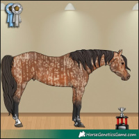 Horse Color:Bay Dun  and Bay 