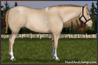 Horse Color:Red Roan Pearl Tobiano Frame 