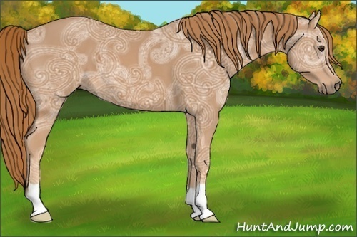 Horse Color:Chestnut Ice 