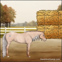 Horse Color:Silver Amber Champagne Roan Frame 
