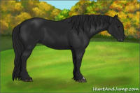 Horse Color:Gray Black 