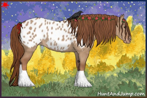 Horse Color:Red Dun Appaloosa 