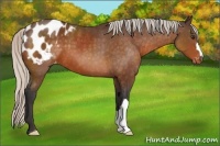 Horse Color:Silver Buckskin Varnish