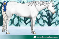 Horse Color:White Spotted Chocolate Palomino Pearl Snowcap 