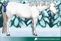 Horse Color:Liver Chestnut Pearl Snowflake Varnish