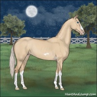Horse Color:Silver Classic Champagne Dun Splash Frame 