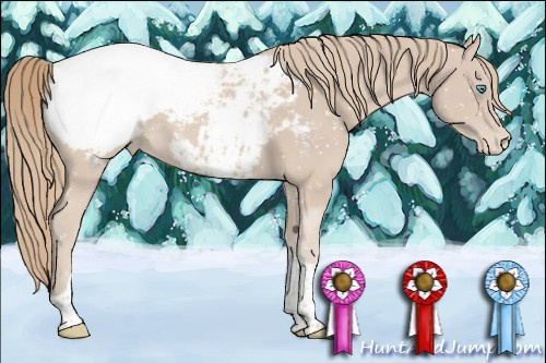Horse Color:Smoky Creme Tobiano Appaloosa 