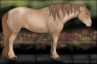 Horse Color:Liver Chestnut Pearl Splash 