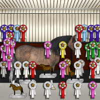 Horse Color:Brown Dun Rabicano