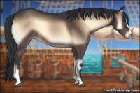 Horse Color:Brown Onyx Sabino