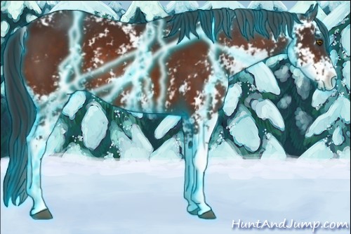 Horse Color:Thunderstruck Brown Sabino 