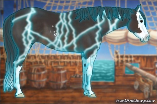 Horse Color:Thunderstruck Brown Sabino Splash 