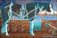 Horse Color:Thunderstruck Brown Sabino Splash