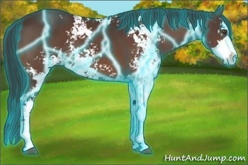Horse Color:Thunderstruck Brown Sabino 