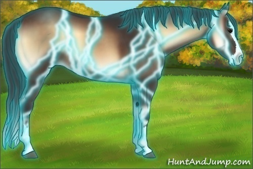 Horse Color:Thunderstruck Brown Onyx Sabino Splash 