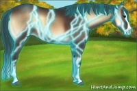 Horse Color:Thunderstruck Brown Onyx Sabino Splash 