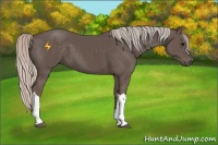 Horse Color:Silver Black 