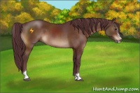 Horse Color:Chocolate Brown Sabino 