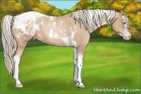 Horse Color:Chocolate Palomino Pearl Tobiano Frame Appaloosa  and Chocolate Palomino Pearl Splash Tobiano Appaloosa 