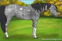 Horse Color:Black Ice Tobiano 