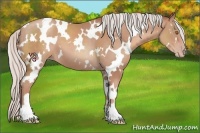 Horse Color:White Spotted Silver Classic Champagne 